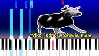 tylko jedno w glowie mam Piano Tutorial [upl. by Animaj822]