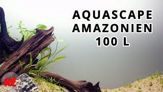 Aquascape aquarium Amazonien 100L [upl. by Grous]