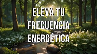 Eleva tu Frecuencia Energética [upl. by Mohn]