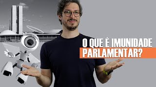 O QUE É IMUNIDADE PARLAMENTAR  MANUAL DO BRASIL [upl. by Anielram]