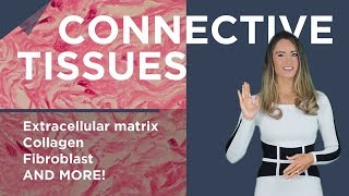 Connective tissue [upl. by Russom]