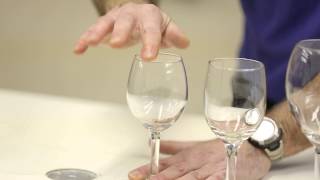 Easy science experiment Musical wine glasses [upl. by Ahsetra]