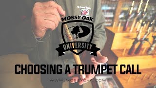 Choosing a Trumpet Call  Best Trumpet Call for Turkey Hunting [upl. by Aime880]