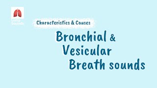 Breath Sounds  Vesicular vs Bronchial [upl. by Andra220]