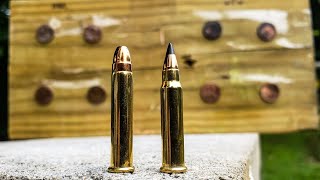 22mag vs 17hmr  penny challenge [upl. by Eylsel]