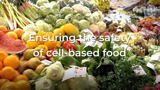 Ensuring the food safety of cellbased food [upl. by Macdonald]