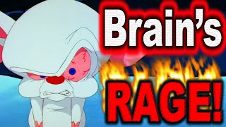 Brains Rage  Pinky amp The Brain [upl. by Akitnahs]