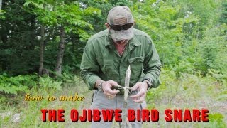 How to Make an Ojibwe Bird Snare [upl. by Sherborn]