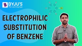 Electrophilic Substitution Of Benzene [upl. by Nnylatsirk553]