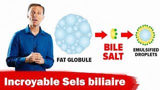 Les 9 avantages des sels biliaires  Dr Eric Berg en Français [upl. by Olsewski]