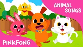 Baby Animals  Animal Songs  Pinkfong Songs for Children [upl. by Anaicul327]