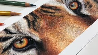 HowTo Draw a Realistic Tiger Eye Study with Colored Pencil [upl. by Nahttam]