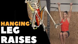 Hanging Leg Raises I Anatomical Analysis [upl. by Coppock776]