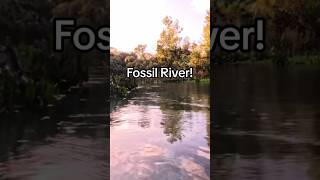 Fossil River [upl. by Annoel99]