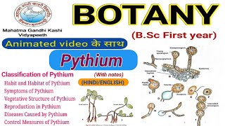 Life cycle of PythiumClassificationvegetative structure [upl. by Alyakem]