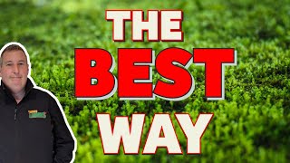 How to kill moss in a lawn  FAST and EASY [upl. by Gellman]