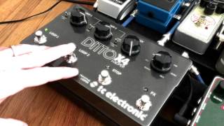 Ditto X4 Looper ReviewDemo [upl. by Annehs]