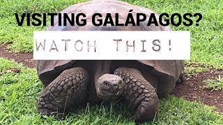 Galapagos TOP TIPS  watch this before you travel [upl. by Peirsen465]