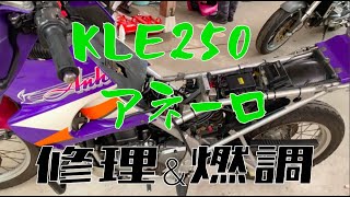 【KLE250アネーロ】後輩にバイク直してもらった [upl. by Lonni]