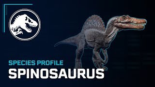 Species Profile  Spinosaurus [upl. by Fraase]