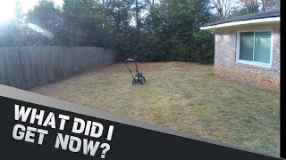 INEXPENSIVE HOMEOWNER LEAF BLOWER SAVES THE DAY [upl. by Adaynek]