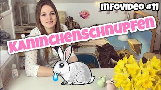 Kaninchenschnupfen  Infovideo [upl. by Koblick]