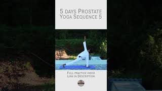 Yoga for Prostate Part 5 [upl. by Auhsaj296]