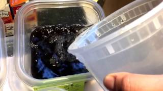 How to hatch killifish eggs [upl. by Iey]