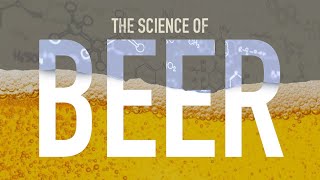 How is Beer Made [upl. by Alik]