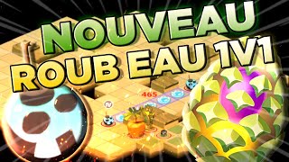 LE RETOUR DU ROUBLARD EAU EN 1V1 SUR DOFUS MAJ 270 [upl. by Ainsworth]