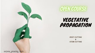 Vegetative Propagation  Malayalam  Botany Open Course [upl. by Ennybor936]