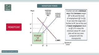 Monopsony [upl. by Noseaj]