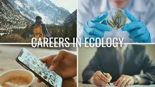 The 4 Types of Careers in Ecology  Careers in Biology and Environmental Science [upl. by Flint]