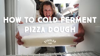 How to cold ferment your pizza dough [upl. by Nowujalo329]