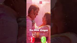 jo tu mil gaya ringtone [upl. by Antons]