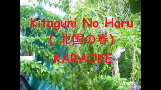 北国の春 Kitaguni No Haru  カラオケバージョン Karaoke Version [upl. by Steep690]