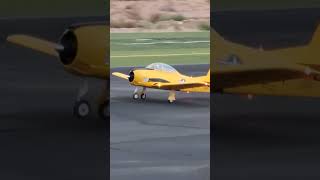 EFLITE T28 TROJAN SCALE TAKEOFF RC [upl. by Eednyl]