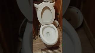 glacier bay dual flush toilet not flushing properly do not replace until you try this [upl. by Fidela]