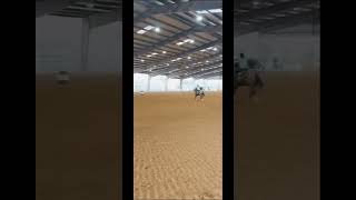 Summer sizzler 4 Leila’s fastest time yet barrelhorse horse barrelracing [upl. by Ronel]