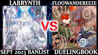 Labrynth vs Floowandereeze  Dueling Book [upl. by Halludba]