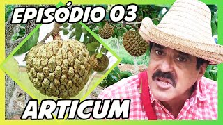 IMBILINO E OS FRUTOS DO CERRADO  EPISÓDIO 03 ARTICUM [upl. by Dalila]