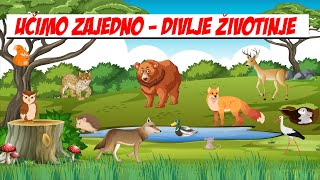 Učimo ŽIVOTINJE zajedno  Divlje životinje  Zabava za djecu [upl. by Aneekahs]