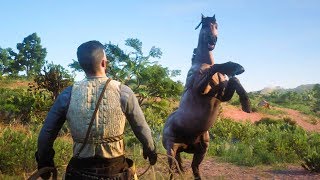 TAMING RARE TIGER STRIPED MUSTANG HORSE  Red Dead Redemption 2 [upl. by Lemra]