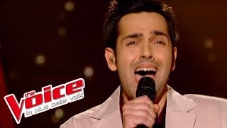 Jevetta Steele – Calling You  Yoann Fréget  The Voice France 2013  DemiFinale [upl. by Mahda]