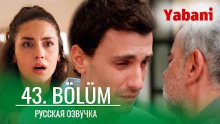 Дикий 43 серия русская озвучка  Yabani 43 Bölüm  Обзор [upl. by Alexandr]