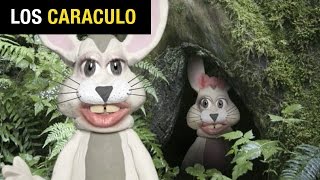 El Conejo  Los Caraculo [upl. by Ewer17]