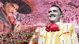 VICENTE FERNÁNDEZ SUS MEJORES ÉXITOS  LAS MEJORES CANCIONES VIEJITAS PERO VICENTE FERNÁNDEZ [upl. by Sibeal]