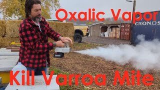 InstantVap Oxalic Acid Vaporizer Unboxing and How To Use [upl. by Igenia]