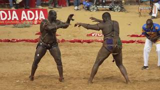 Combat Balla Gaye 2 vs Tapha Tine  reportage Lamine Seck Tapha Gueye Palla et Mansour Diop [upl. by Pomona]