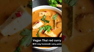 Homemade Thai Red curry recipe shorts youtubeshorts trending viralvideo momidas7865 [upl. by Ayokal63]